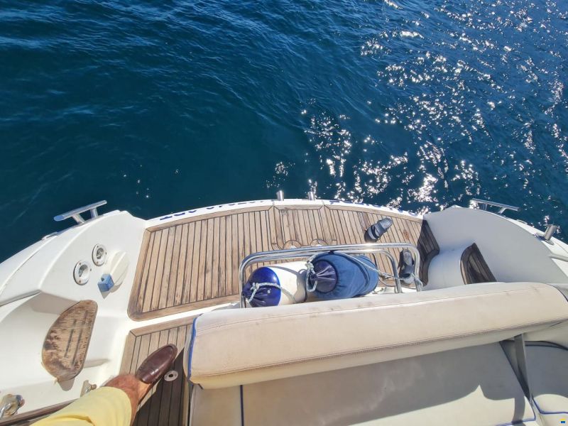 Bavaria Sport 29