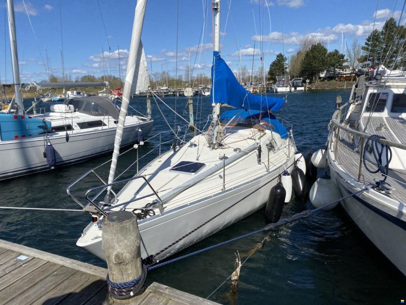 Albin Scampi 30 Special