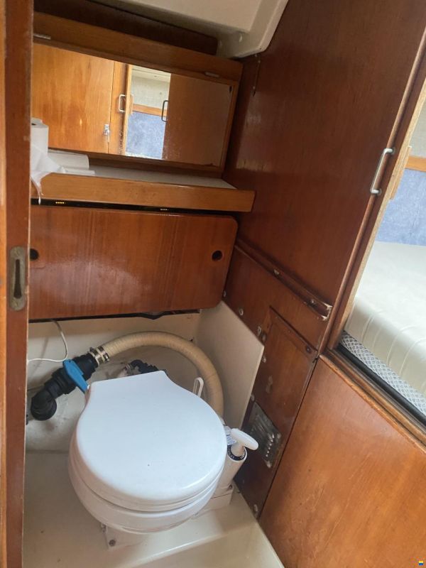 Albin Scampi 30 Special