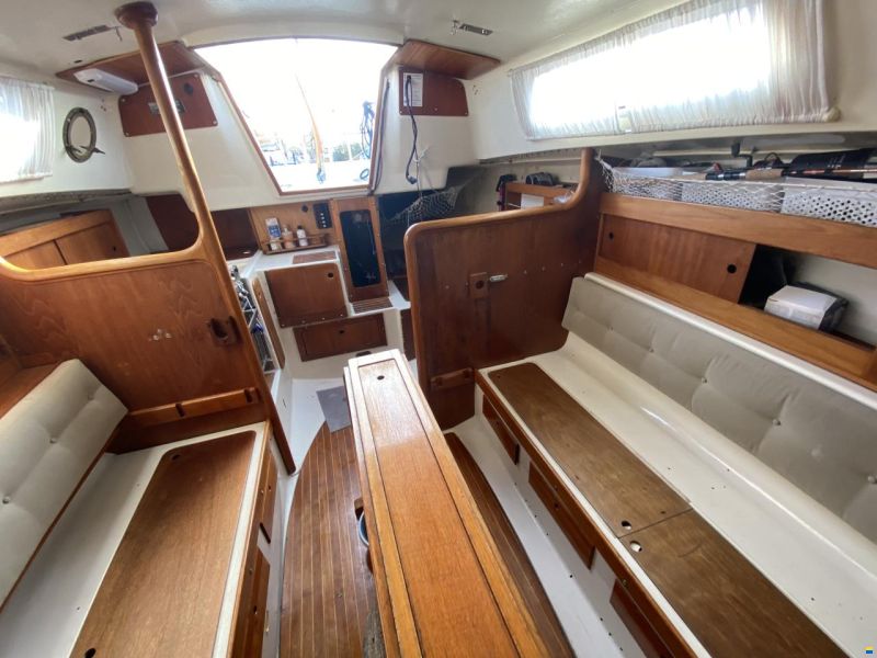 Albin Scampi 30 Special