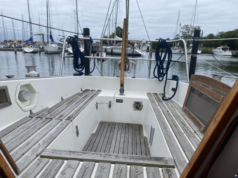 Albin Scampi 30 Special