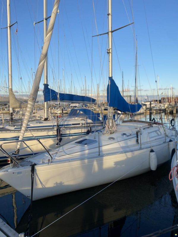 Albin Scampi 30 Special