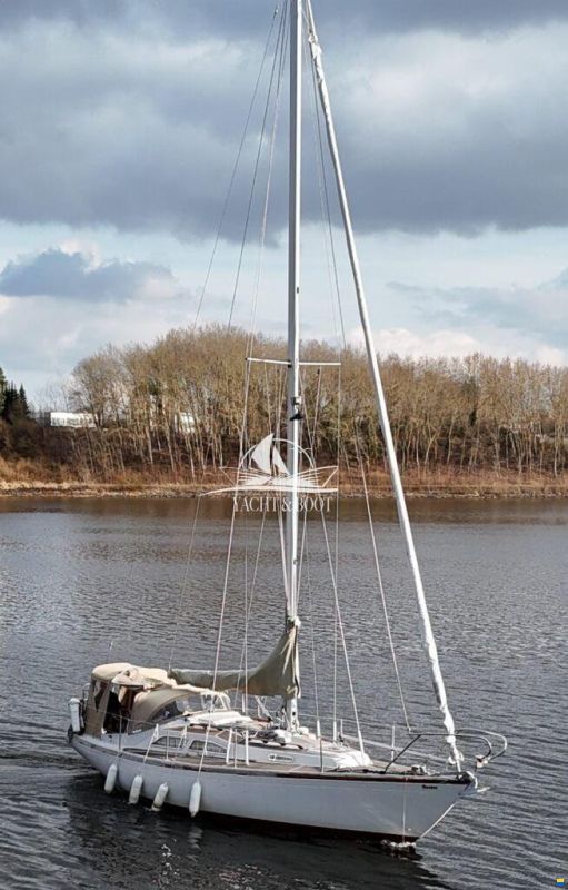 Bianca Commander 31