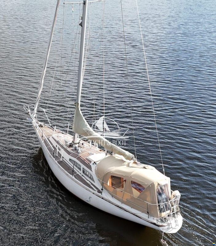 Bianca Commander 31