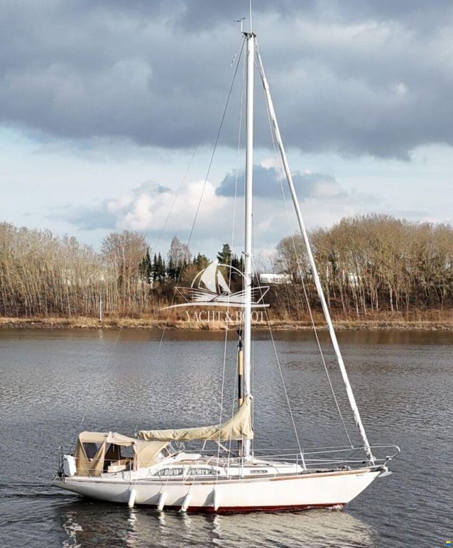 Bianca Commander 31