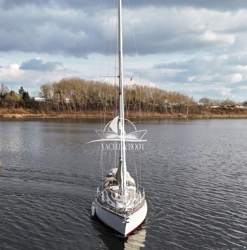Bianca Commander 31