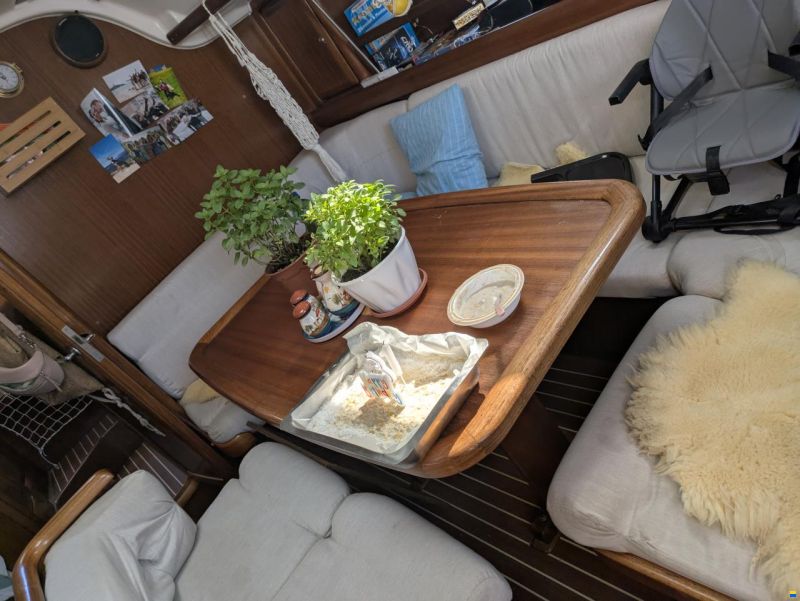 Bavaria 38 Holiday