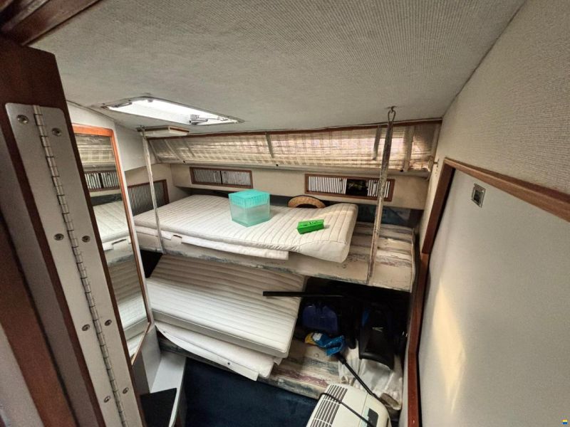 Sea Ray 390 EC