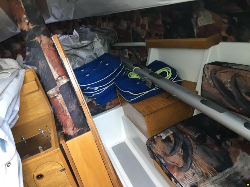 Delphia Sportina 700 New Classic