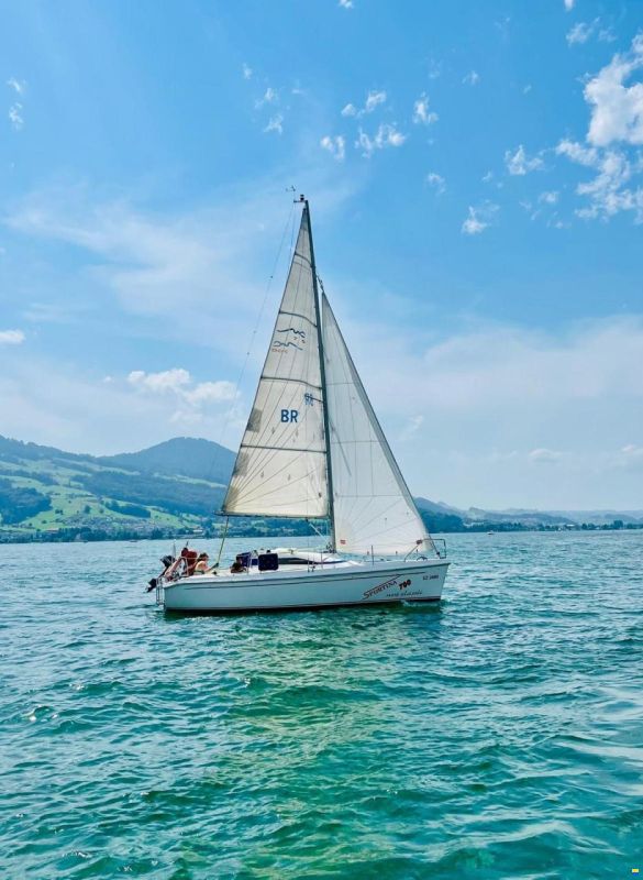 Delphia Sportina 700 New Classic