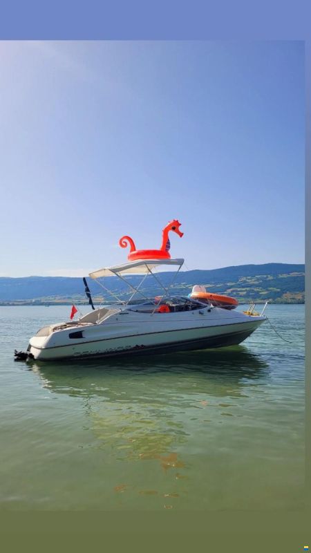 Bayliner 2052 Capri Cuddy