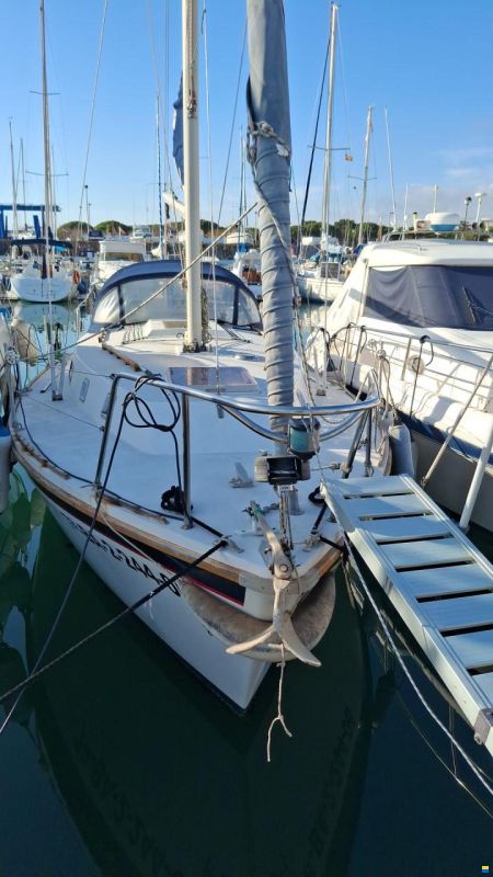 Westerly 880