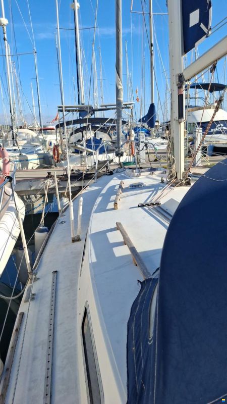 Westerly 880