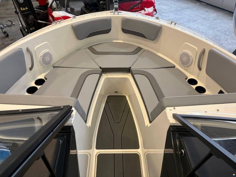 Bayliner V20