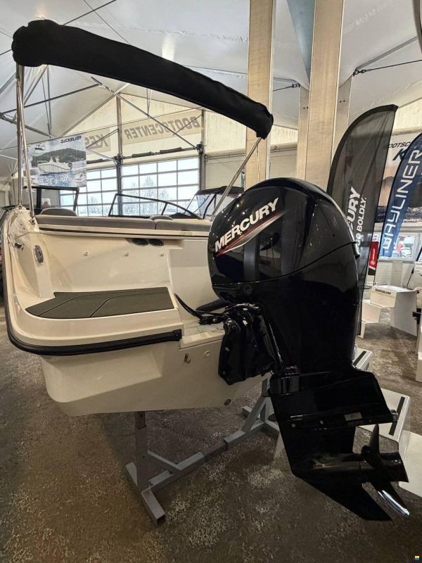 Bayliner V20