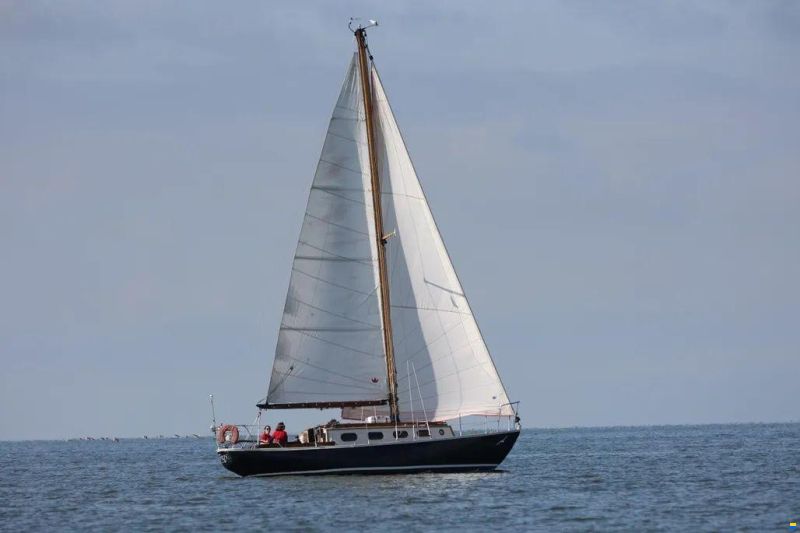 Blauwvoet Custom Steel 10 Meter