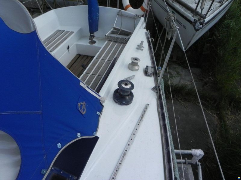 Kalik 33