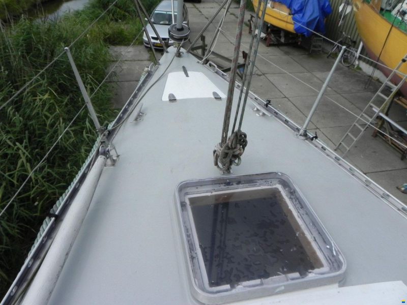 Kalik 33