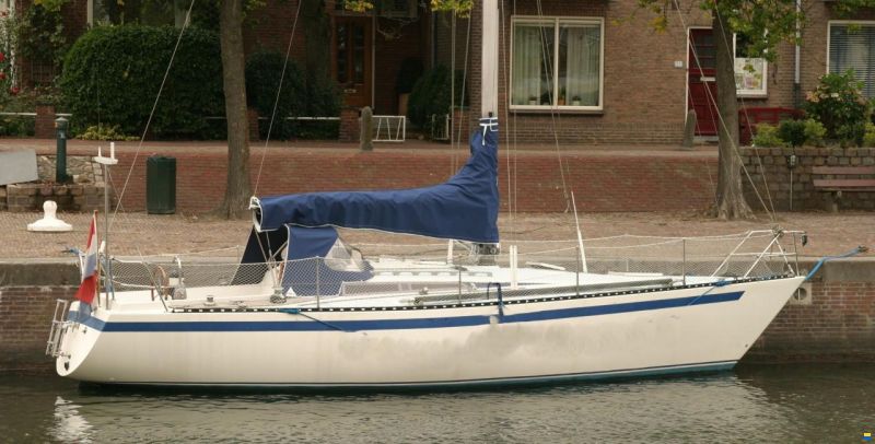 Kalik 33