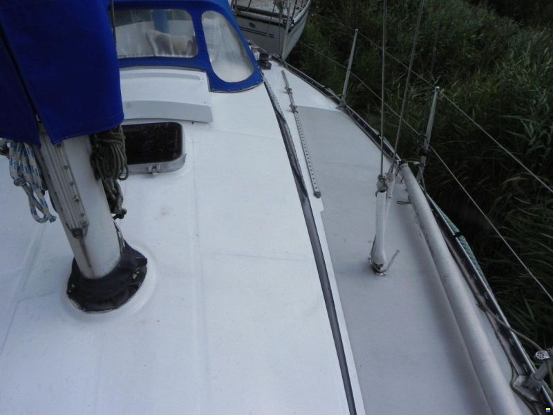 Kalik 33