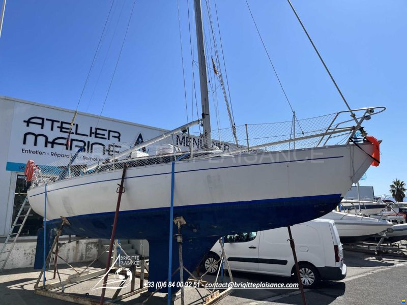 Mallard 9M