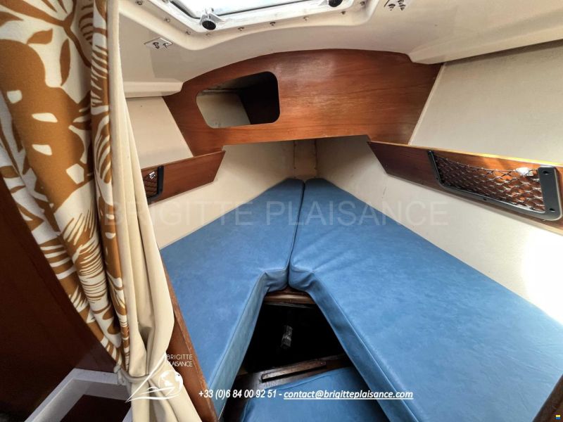Mallard 9M