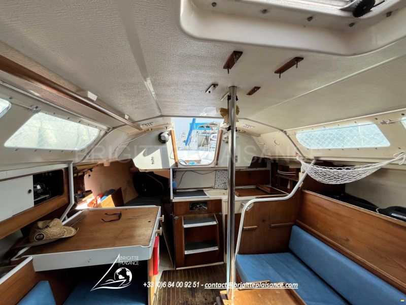 Mallard 9M