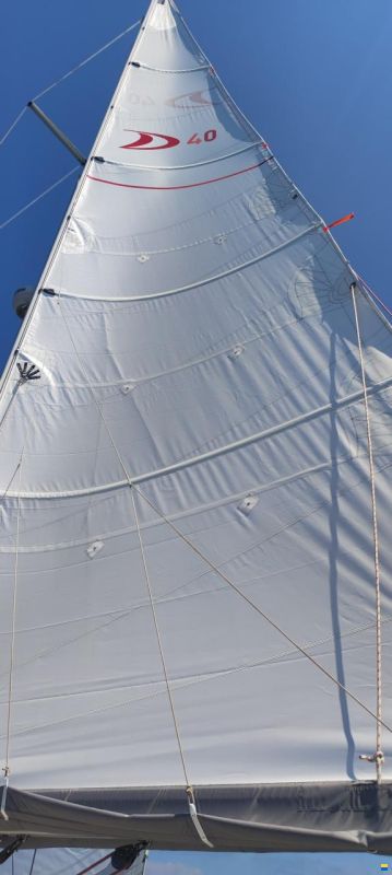 Delphia 40.2