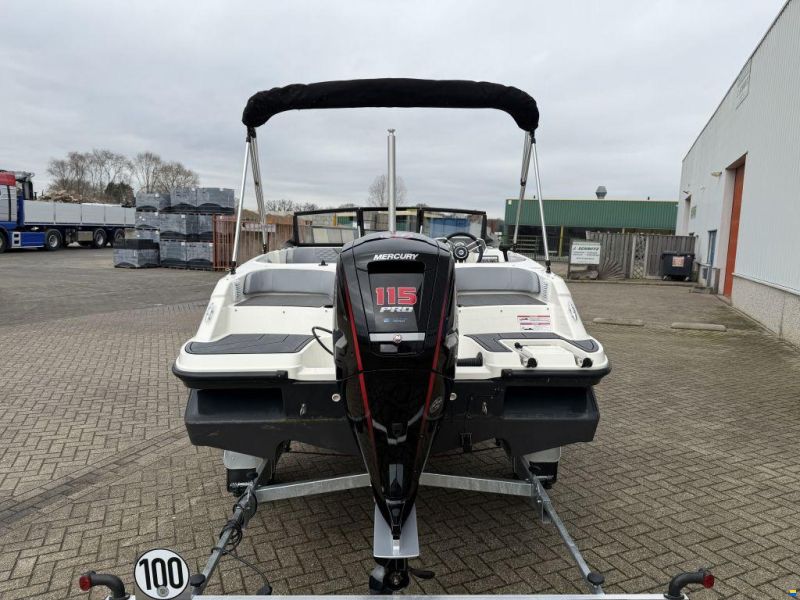 Bayliner Element M17