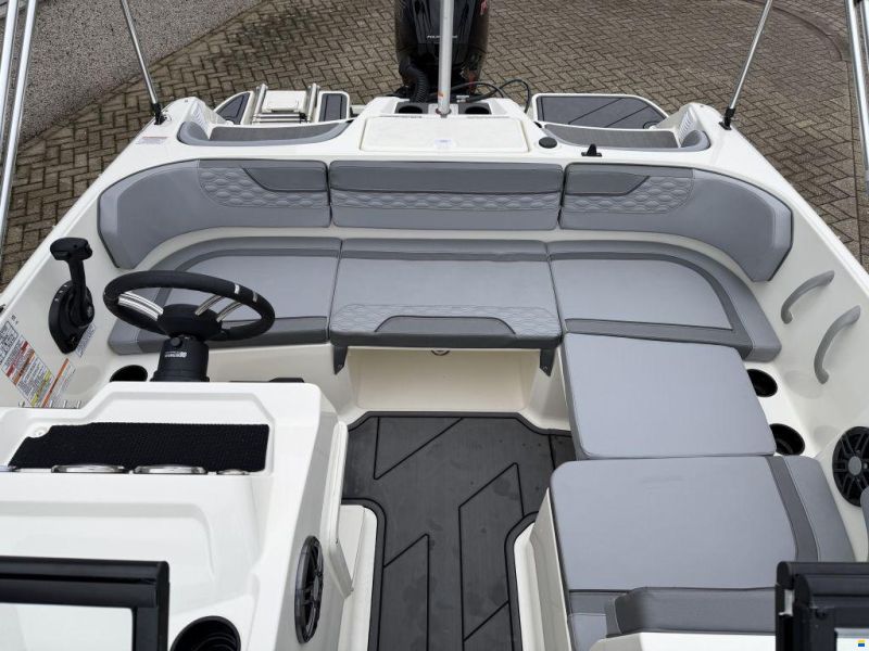 Bayliner Element M17