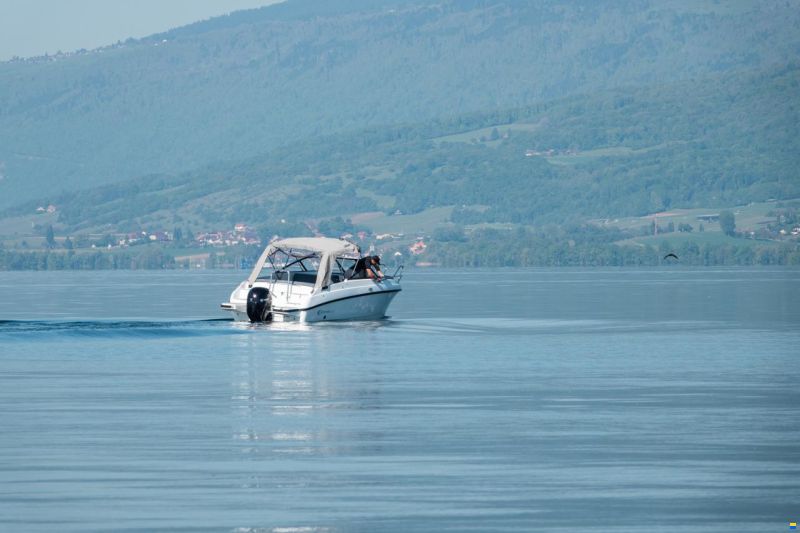 Coaster 600 Day Cruiser