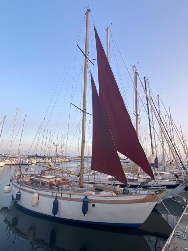 Saga 34