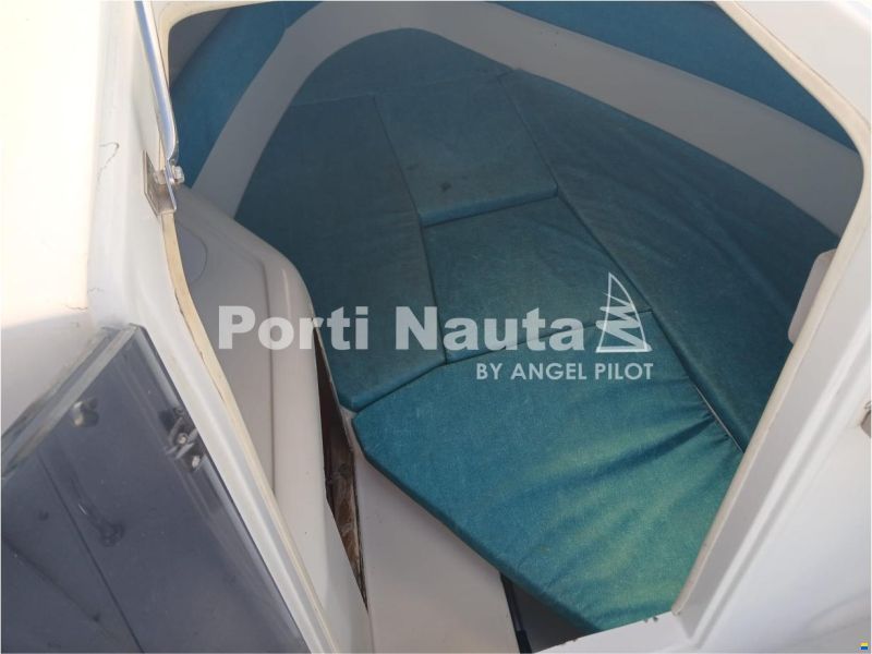 Sessa Oyster 20