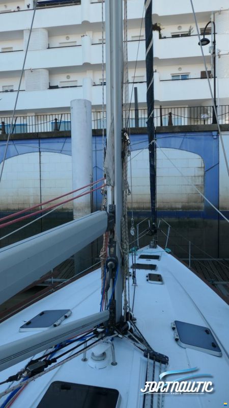 Bavaria 50