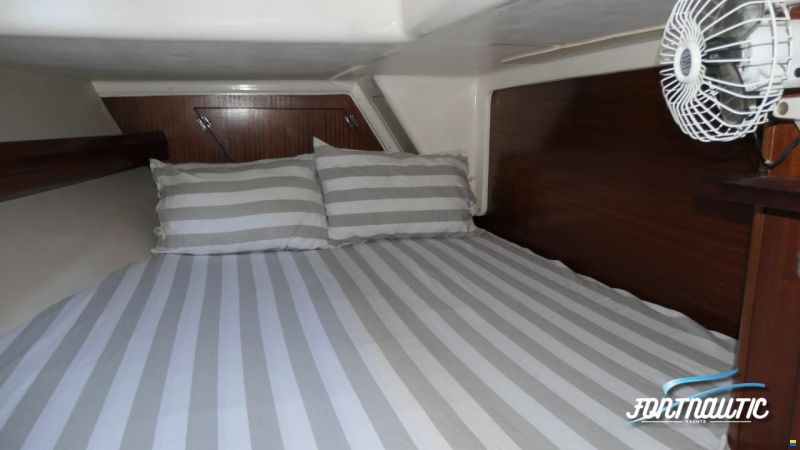 Bavaria 50