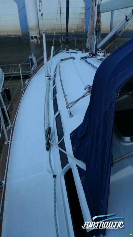 Bavaria 50