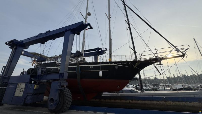 Pirat 53