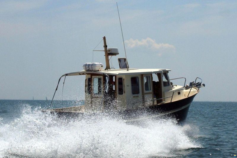 Rhéa 850 Timonier