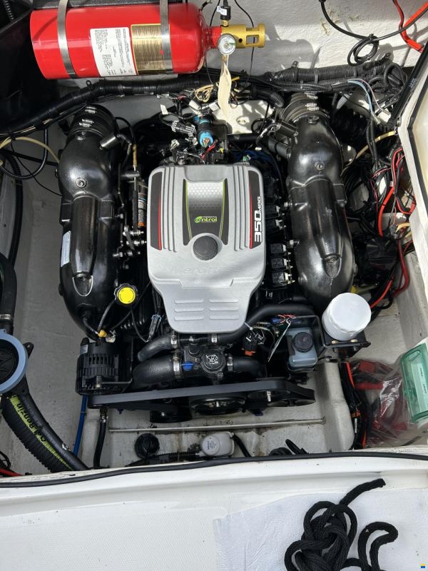 Bayliner Cuddy Cabin 802