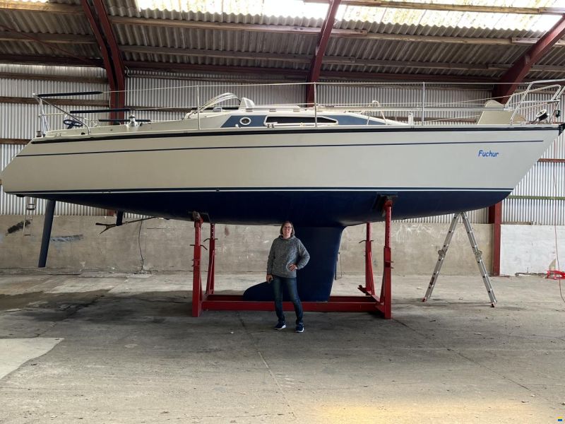 Dehler 31