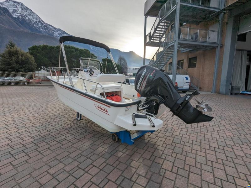Boston Whaler Montauk 170