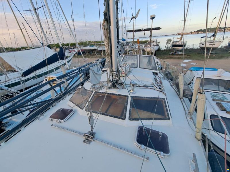 Reinke 13