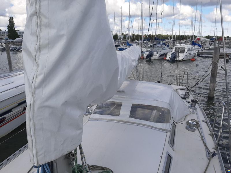 Comfortina Cayenne 42