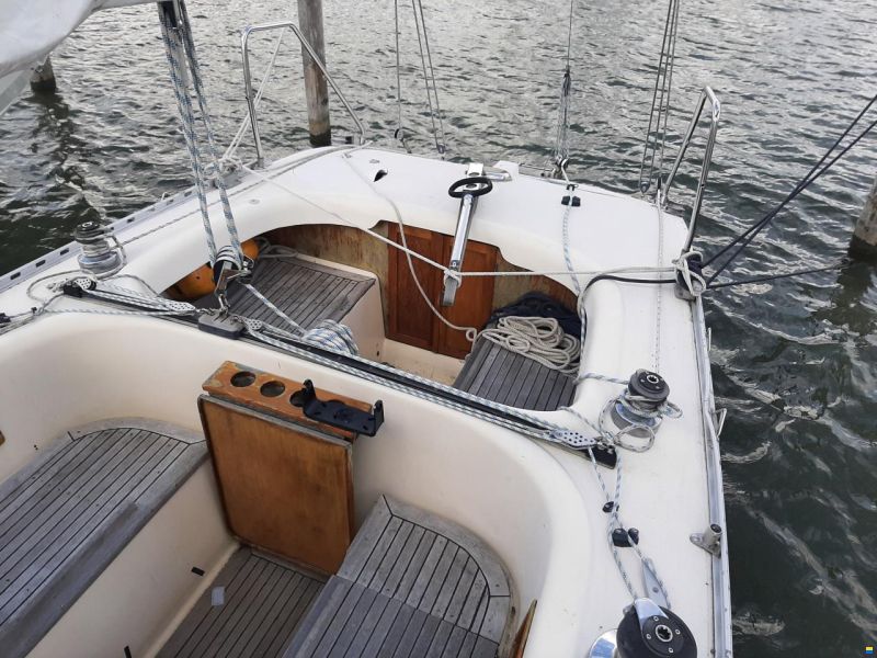 Comfortina Cayenne 42