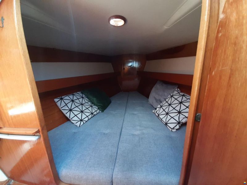 Comfortina Cayenne 42