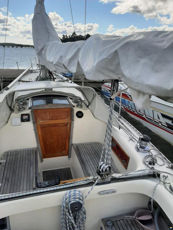 Comfortina Cayenne 42