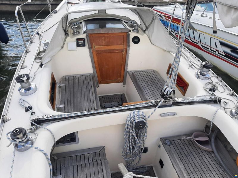 Comfortina Cayenne 42