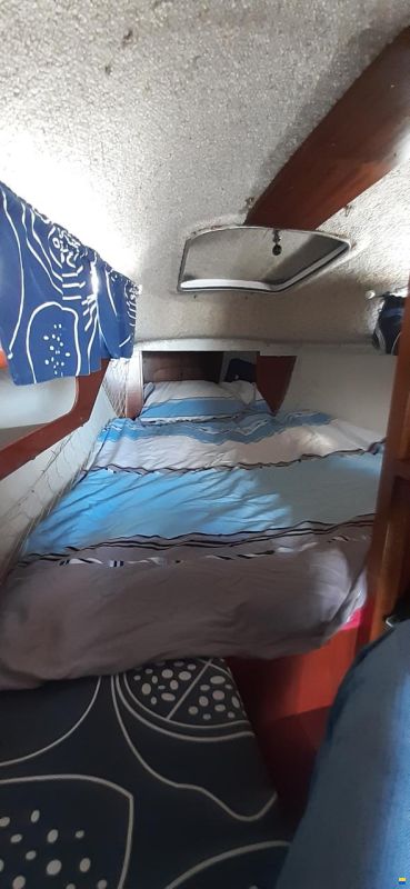 Staempfli Jollenkreuzer R20