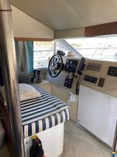 Sun Cruiser 36 Fly