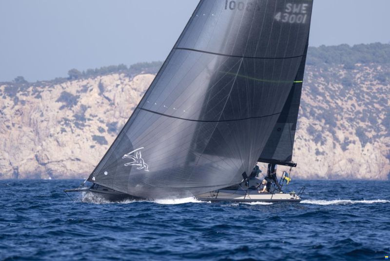 Shogun 43